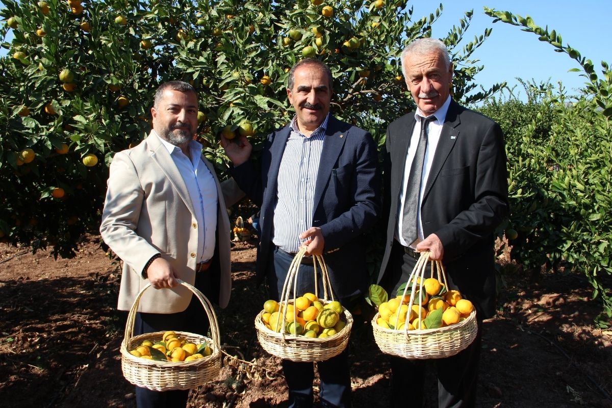 Türkiye, mandalina ihracatında 650 milyon dolar hedefliyor